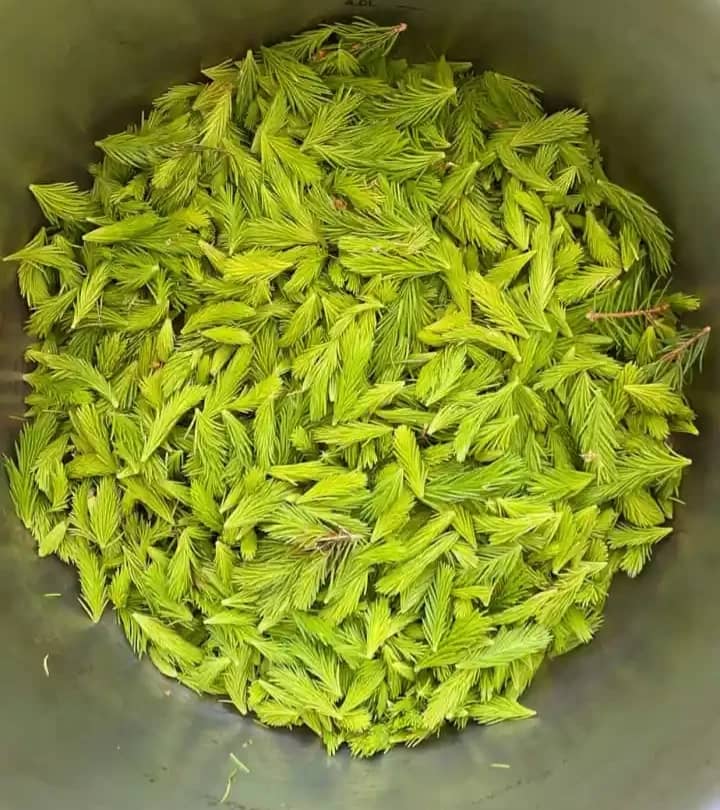 fermeterte-granskudd