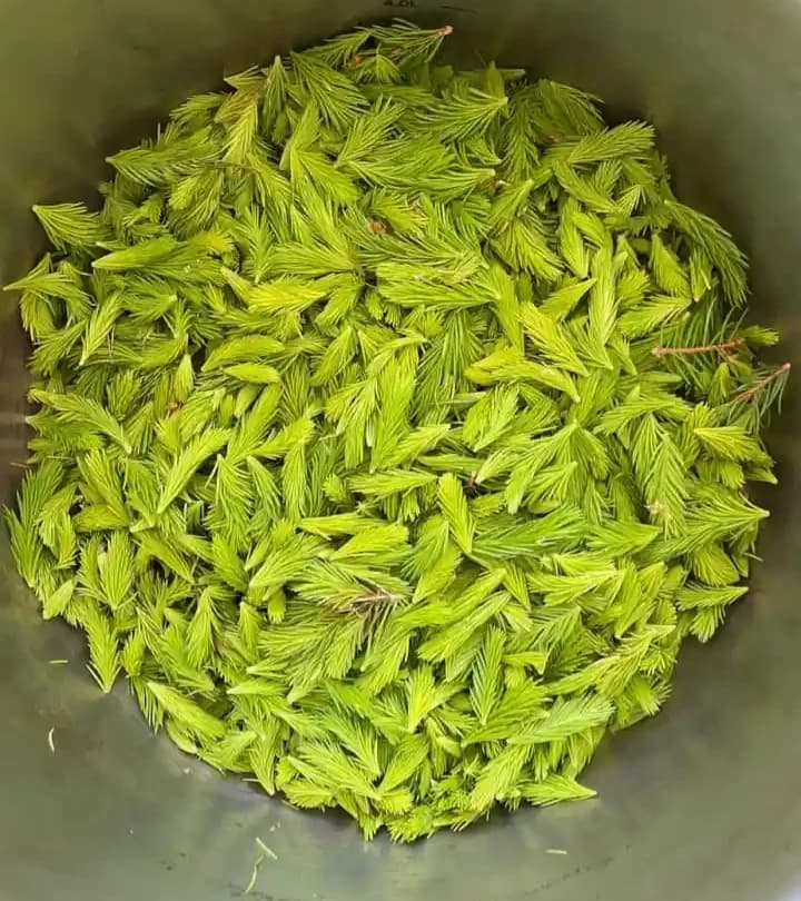 fermeterte-granskudd